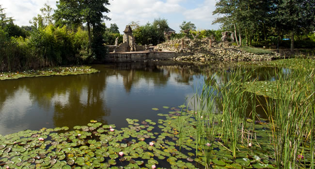 condoleance-locatie-de-zuilen-hillegom-heemstede-haarlem-bennebroek